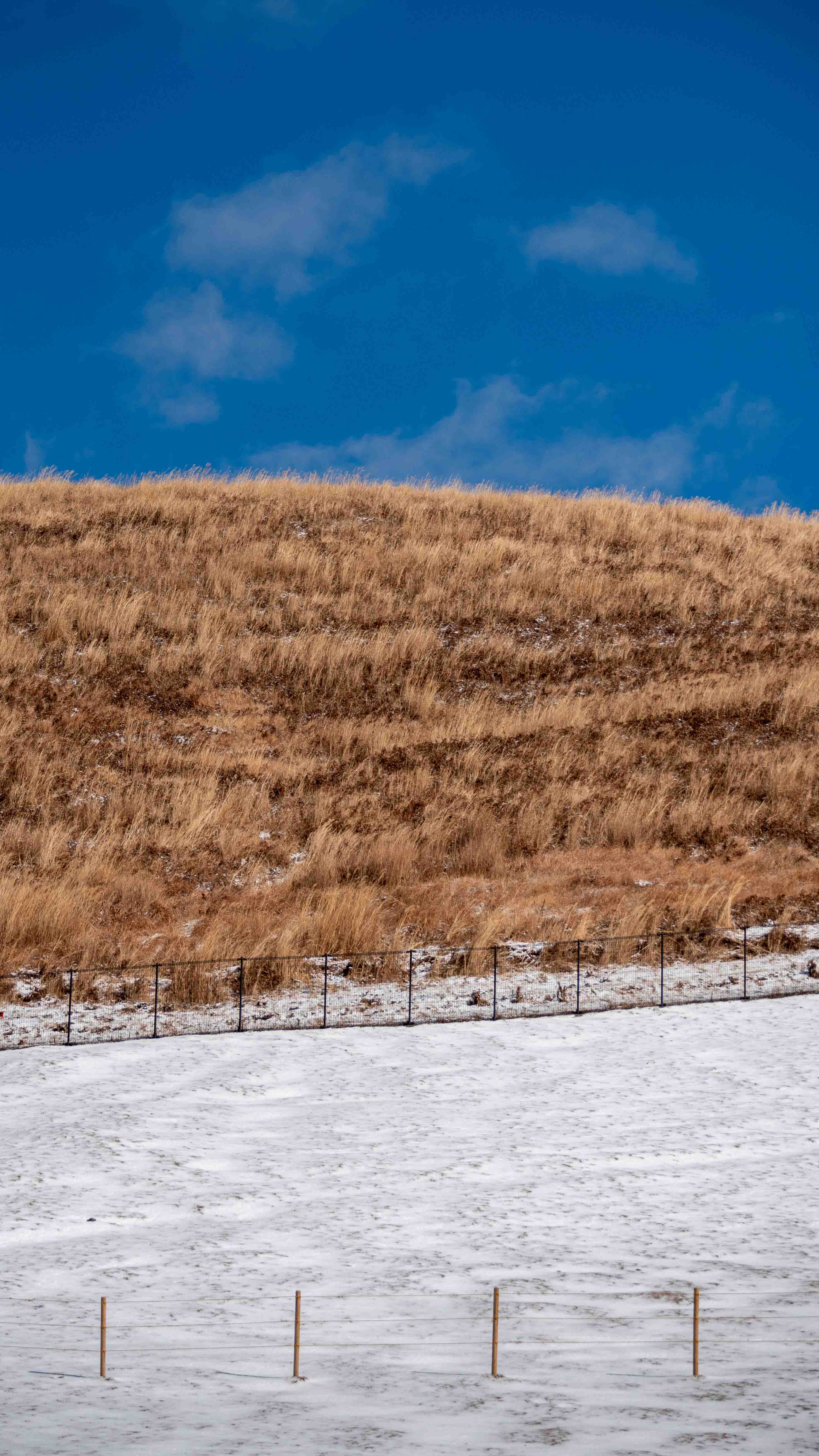 Train conductor stands in snow-covered train station
